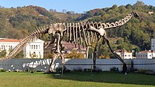 Turiasaurus içinde zientzia astea.jpg