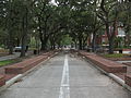 Bike lanes alongside the Plaza of the Americas at the University of Florida. Looking south