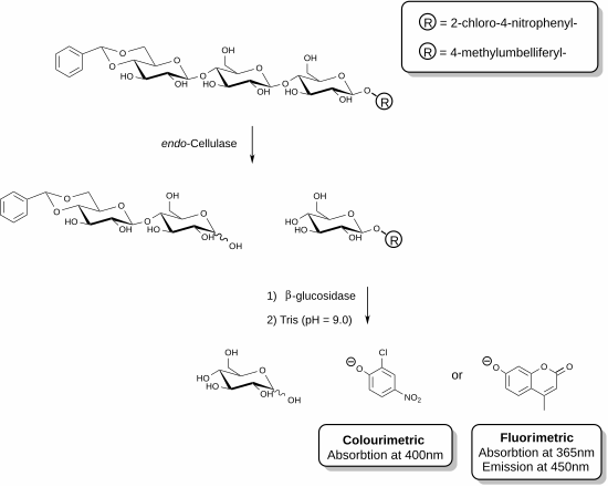 Cellulase -