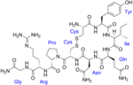 Vignette pour Hormone peptidique