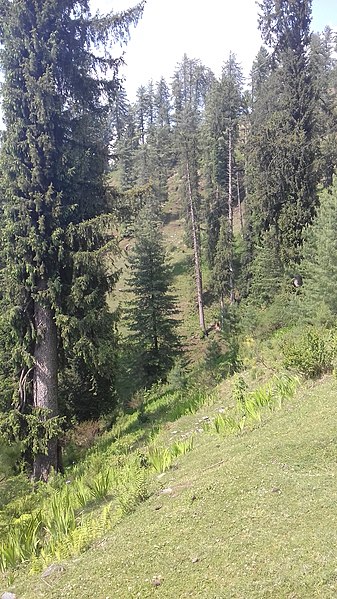 File:View near great himalayan national park.jpg