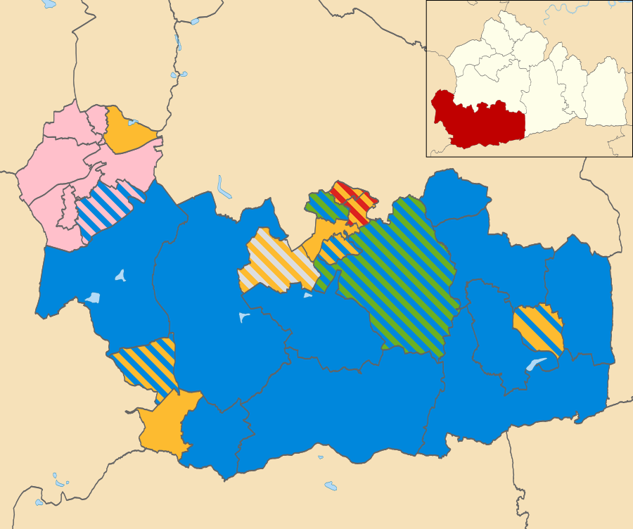 2019 election Waverley Borough Council