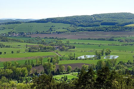 Werraaue bei Wilhelmsglücksbrunn (1)