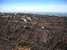 Wildfire damage near the top of Blorenge, near Abergavenny, south Wales, in 2010.