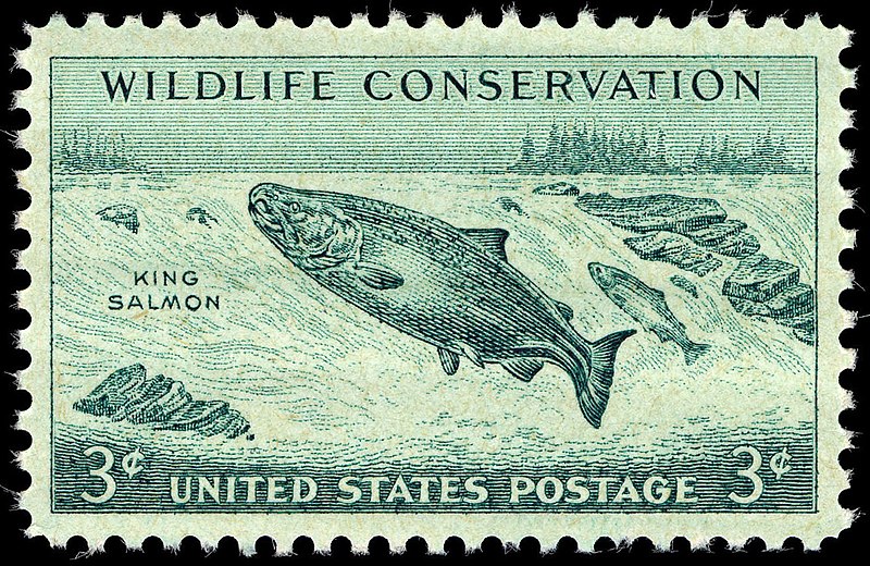 File:Wildlife salmon 1956 U.S. stamp.1.jpg