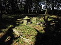 English: Evangelical cemetey from XIX century in Wirwajdy Polski: Zabytkowy cmentarz ewangelicko-augsburski z drugiej połowy XIX wieku w miejscowości Wirwajdy