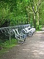 White bicycles, for free use, in Hoge Veluwe National Park.