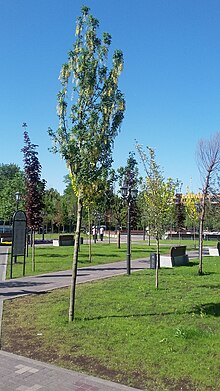 Yerevan 2800th-anniversary park 35.jpg