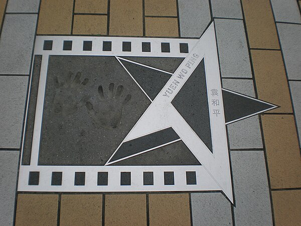 Yuen's star on the Avenue of Stars