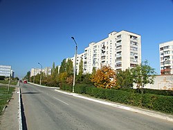 Yuzhny - Grygorivskogo desantu street.jpg