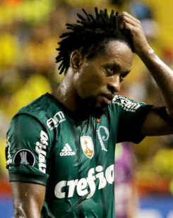 Zé Roberto.png