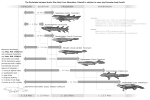 Thumbnail for File:Zachelmie tracks vs selected Devonian fossils.svg