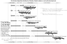 Zachelmie tracks vs selected Devonian fossils.svg