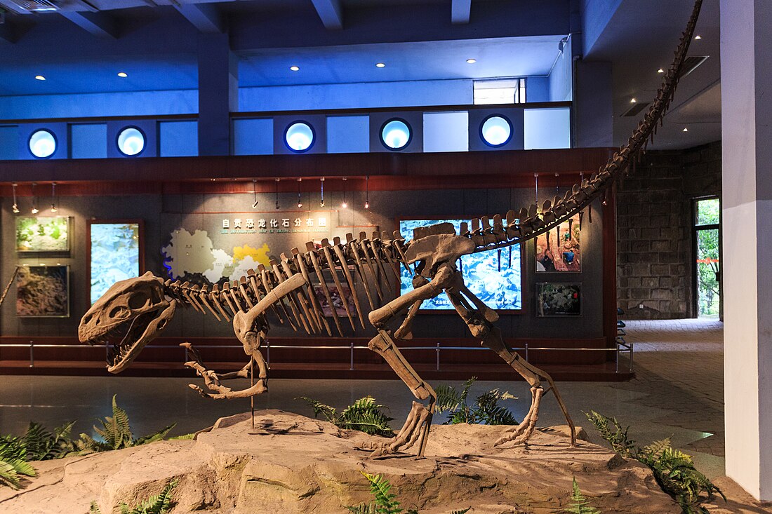 File:Zigong Dinosaur Museum Gasosaurus.jpg