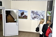 Polski: Wernisaż wystawy POTY w Bibliotece Pedagogicznej w Łomży, 2015-11-24 English: Opening of Picture of the Year exhibition in Pedagogic Library in Łomża, 2015-11-24