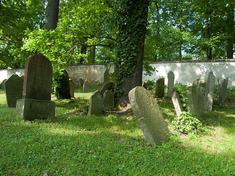 File:Židovský hřbitov Hluboká nad Vltavou - hroby+strom.jpg