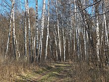 Заказник ландшафтний Калитянська Дача