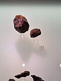 Миниатюра для Файл:Метеориты выставка.jpg