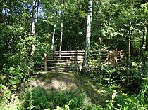 Ограда Охтинского лесхоза. 2013 год.