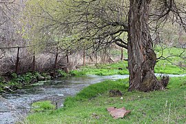 Վայրի բնություն-1 305.jpg