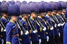 Several units in the Thai King's Guard use a pith helmet with a heavy plume, resembling a bearskin cap. k`ngphanthhaarraabthii 2 krmthhaaraabthii 11 raksaaphra`ngkh .jpg