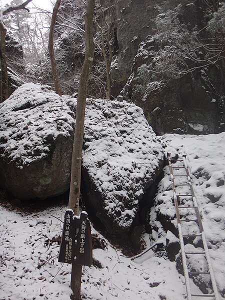 File:登山道の梯子.jpg