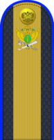 06.epaulette FSSP - förman.png