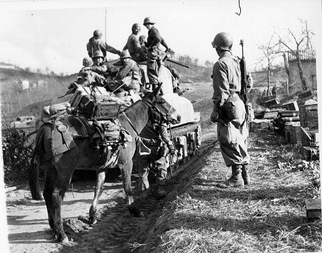 美國陸軍第10山地師於義大利戰場上嘗試推進。