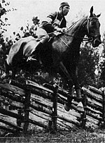Thumbnail for Equestrian at the 1952 Summer Olympics – Individual eventing