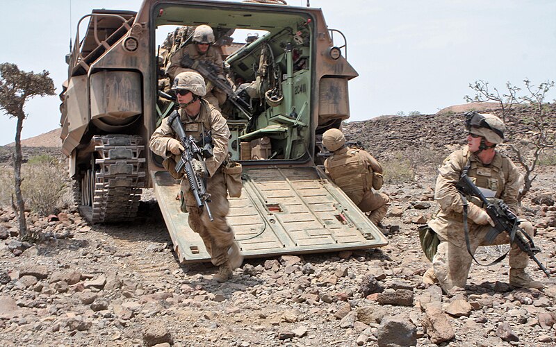 File:1st platoon, Alpha Company, 1st Battalion, 9th Marine Regiment, 24th MEU, Djibouti, 2010.jpg