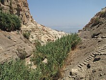 Tal im Felsen, mit Grün als Anzeichen für das Wasser, das in der Mitte nach unten läuft. Im Hintergrund das Tote Meer.