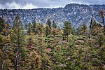 Miniatura per Mogollon Rim