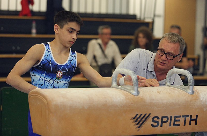 File:2019-05-25 Budapest Cup age group II all-around competition pommel horse (Martin Rulsch) 137.jpg