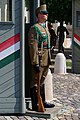 * Nomination Guard of Sándor Palace in Budapest --Jakubhal 05:19, 22 October 2019 (UTC) * Promotion  Support Good quality.--Famberhorst 05:27, 22 October 2019 (UTC)