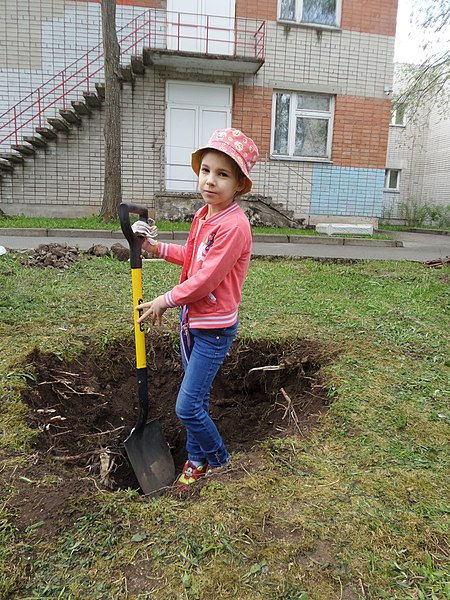 Измеряем глубину ямы лопатой и Ксенией, 2020