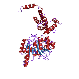 DNA methyltransferase class of enzymes