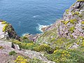 Cap Frehel-Über 70m ragt das aus rotem Sandstein und schwarzen Schiefer bestehende Cap Frehel aus dem Meer empor-Cote de Emeraude,Village Plevenon.