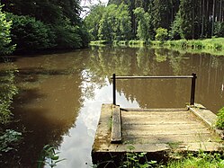 Weiher bei Biberach/Riss (Burrenwald, Schnakenweiher)