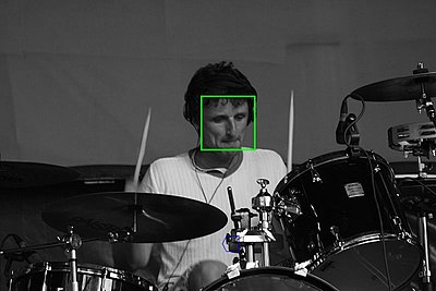 The face was automatically detected by special software.