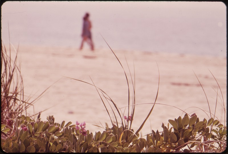 File:A WALK ON THE BEACH - NARA - 547599.tif