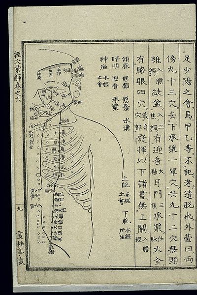 File:Acu-moxa chart; Stomach channel of foot yangming, Japanese Wellcome L0037975.jpg