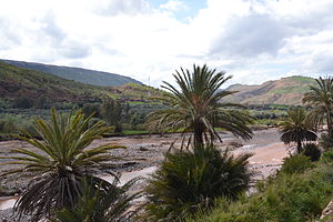 Landschaft bei Aït Ourir mit Oued Zat