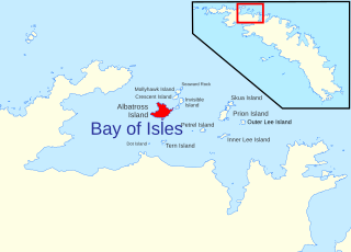 <span class="mw-page-title-main">Albatross Island (South Georgia)</span>