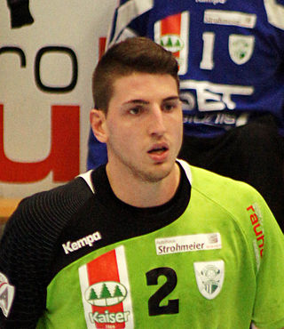 <span class="mw-page-title-main">Alexander Hermann</span> Austrian handball player