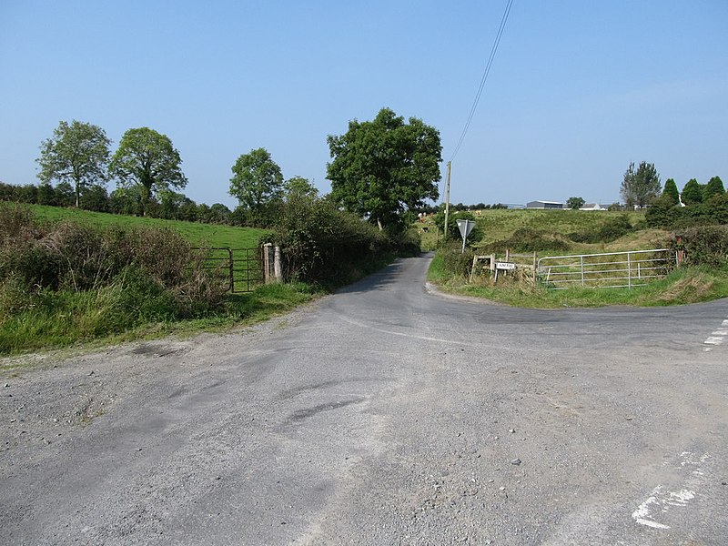 File:Alina Road at Teer Cross Roads - geograph.org.uk - 4174824.jpg