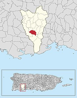 Location of Almácigo Bajo within Yauco in Puerto Rico