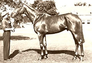 <span class="mw-page-title-main">Alycidon</span> British-bred Thoroughbred racehorse