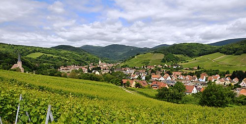 Rideau métallique Andlau (67140)