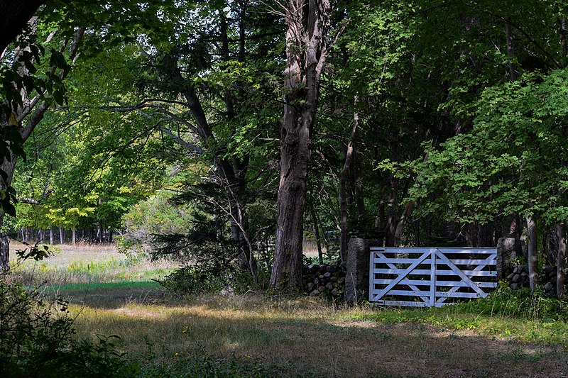 File:Appleton Farms Grass Rides field View.jpg