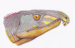 Archosaurus ross1DB.jpg